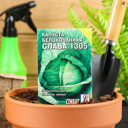 Семена Капуста белокочанная "Слава 1305", 0.5 г, 5 шт.