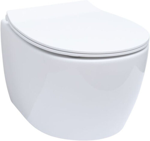 фото Чаша подвесного унитаза Allen Brau Fantasy 4.11004.20 белый глянец