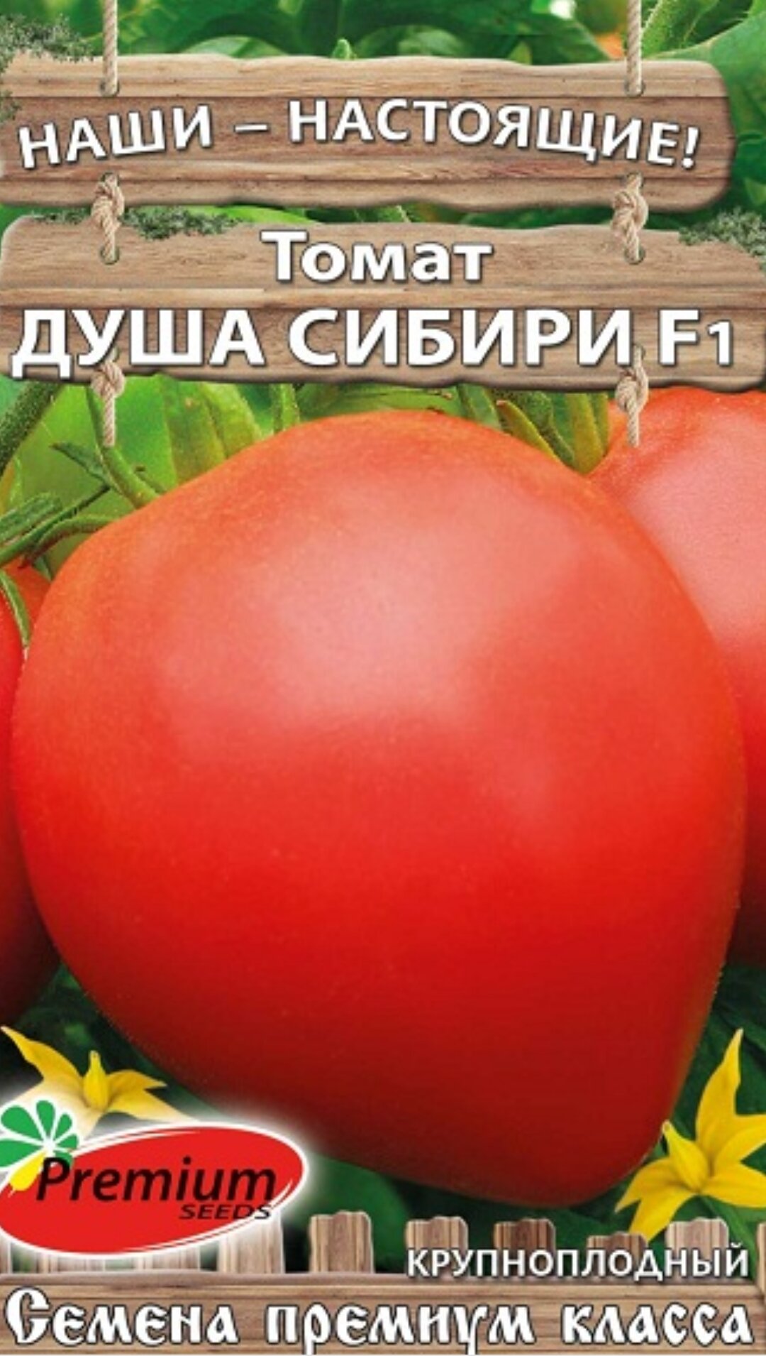 фото Семена Томат Душа Сибири F1 (0.05г)