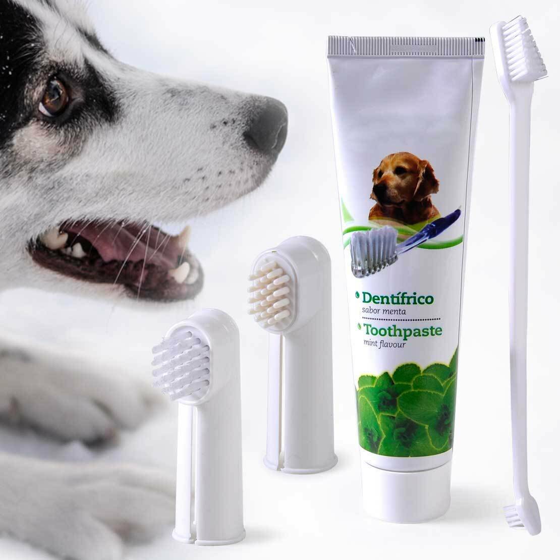 Набор для чистки зубов ARQUIVET для собак со вкусом мяты - фотография № 9