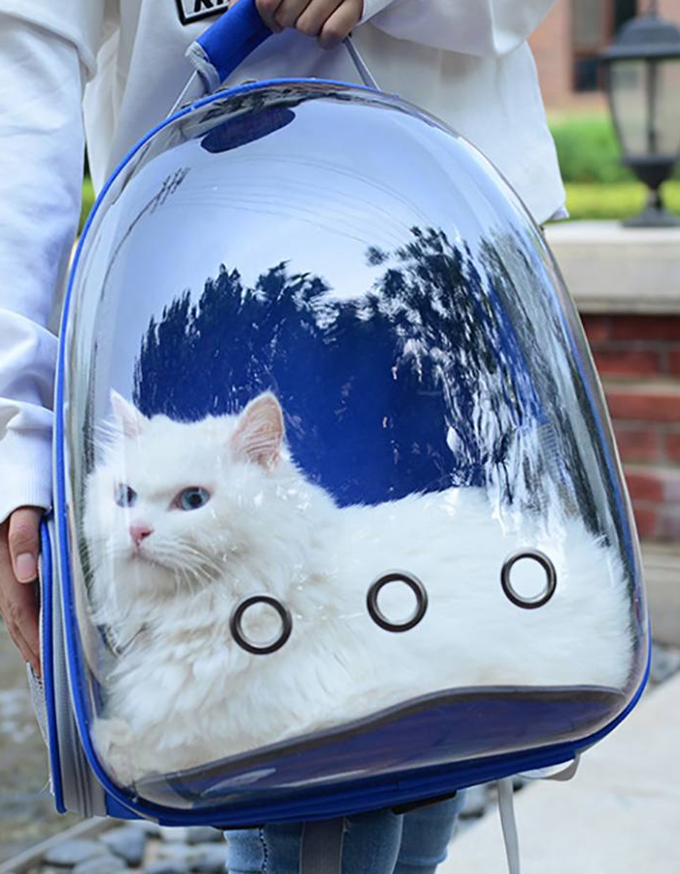 Рюкзак переноска для кошек и собак с иллюминатором до 7 кг цвет синий - фотография № 4