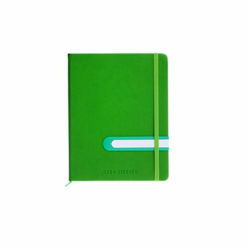 Дневник школьный, 5-11 класс, обложка ПВХ, с ручкой, на резинке, Яркий стиль, Зеленый 1269275