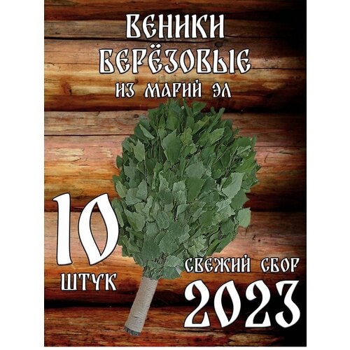 Веники березовые для бани из Марий Эл с ручкой из джута 10 штук в коробке