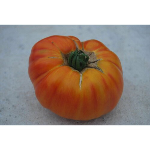 Коллекционные семена томата Оранжевый Фамильный
