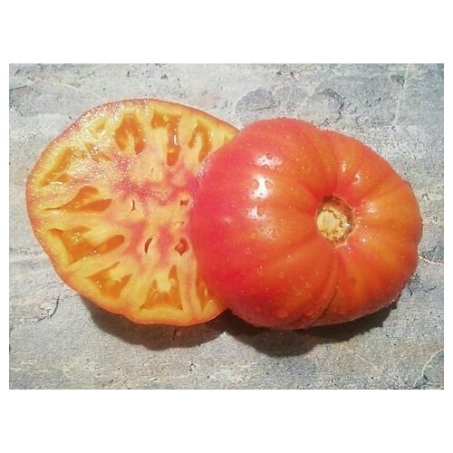 Коллекционные семена томата Ярсон 29