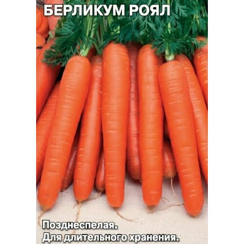 Коллекционные семена моркови Берликум Роял
