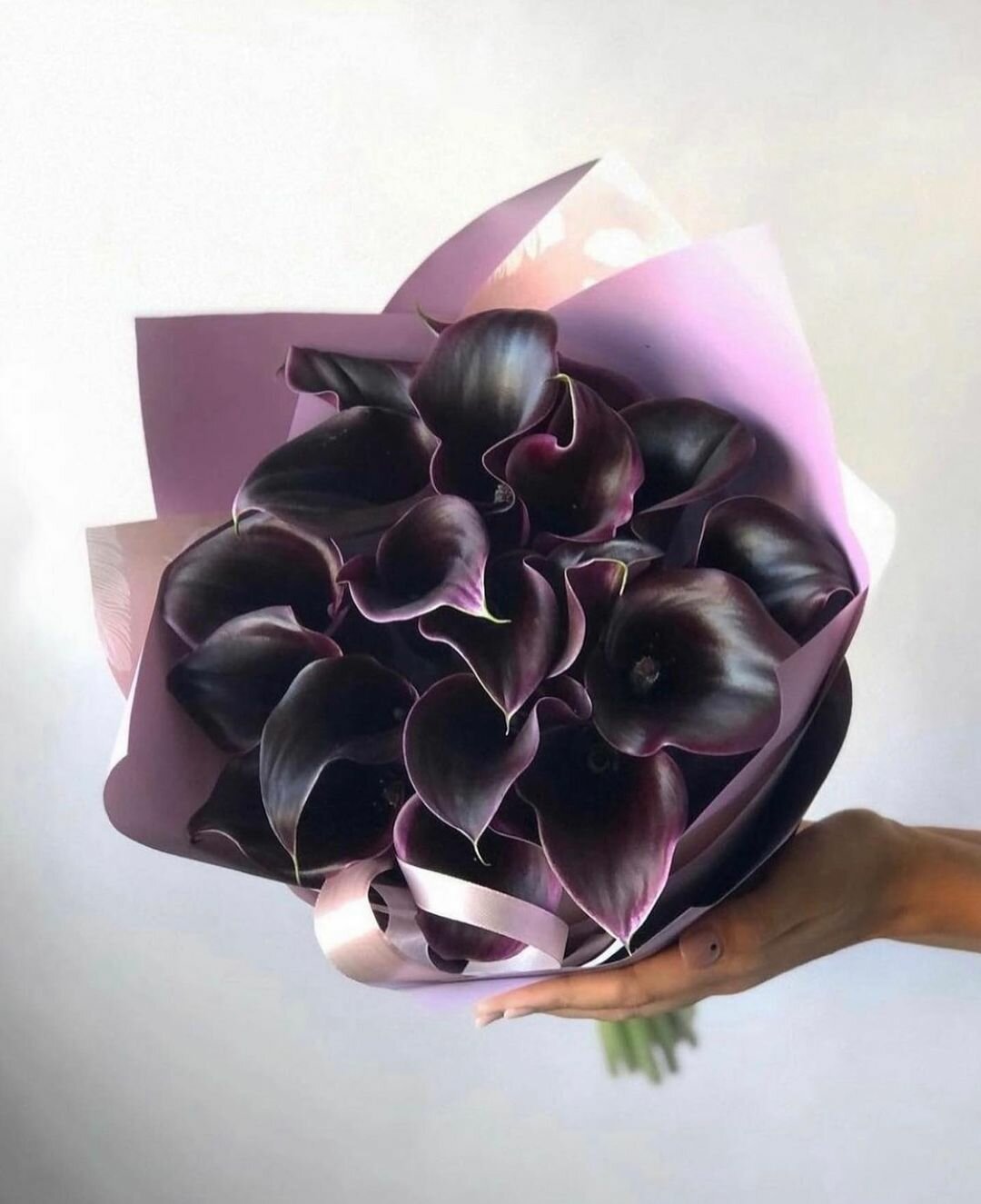 Букет из 19 черных калл