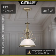 Подвесной светильник Citilux Идальго CL434111 белый бронзовый
