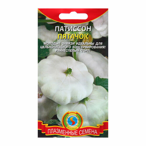 Семена Патиссон 