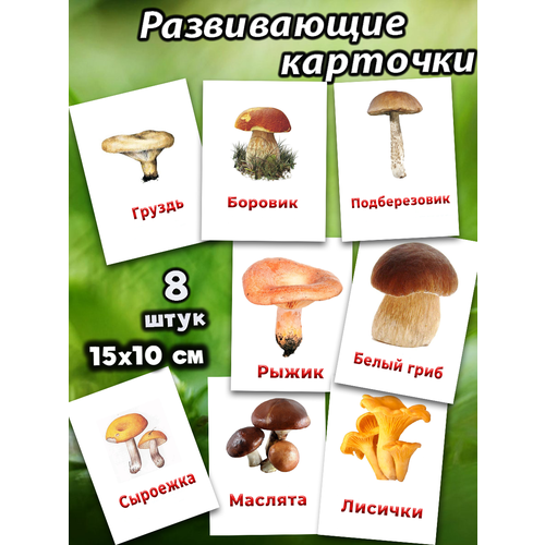 Обучающие карточки А6 Грибы обучающие карточки грибы