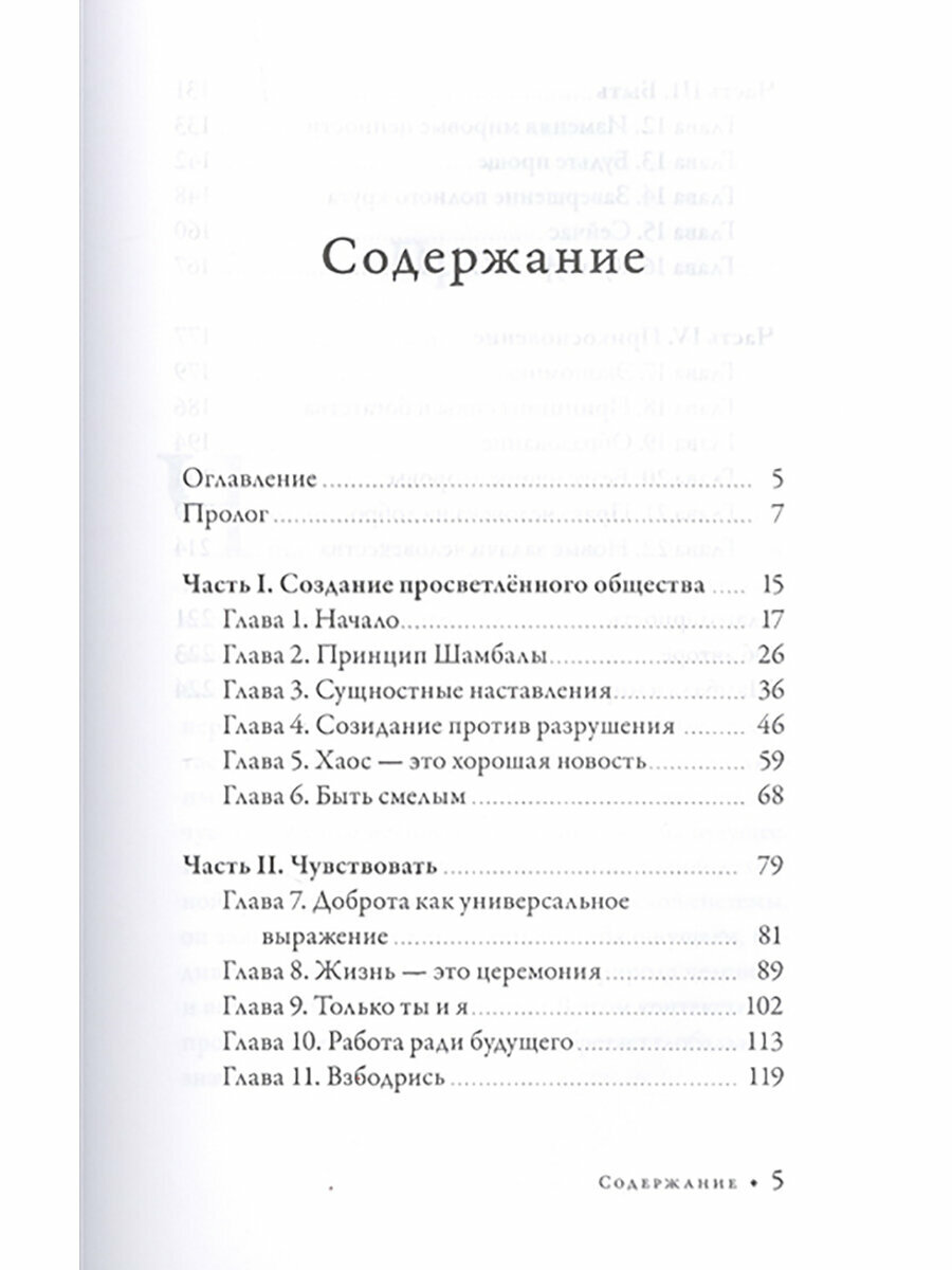 Принцип Шамбалы. Обнаружение скрытого сокровища человечества - фото №4