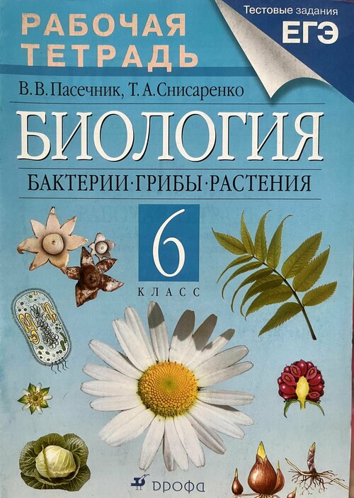 Рабочая тетрадь по биологии 6 класс Пасечник Бактерии Грибы растения