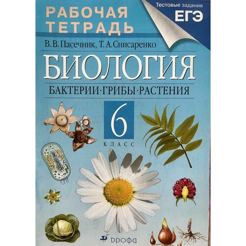 Рабочая тетрадь по биологии 6 класс Пасечник Бактерии Грибы растения пасечник владимир васильевич снисаренко татьяна александровна биология бактерии грибы растения 6 класс рабочая тетрадь