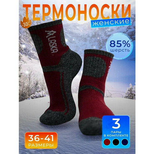 Термоноски , 3 пары, размер 37/41, серый, бордовый, голубой, фиолетовый, черный, синий термоноски аманда 4 пары размер 37 41 фиолетовый бордовый коричневый зеленый