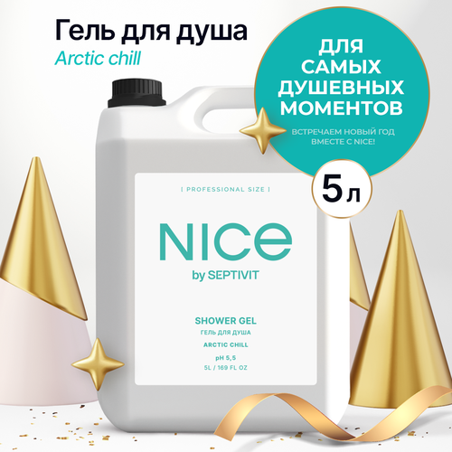 Гель для душа NICE by SEPTIVIT Arctic Chill 5 л
