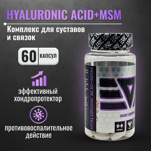 Гиалуроновая кислота и метилсульфонилметан Epic Labs Hyaluronic acid + MSM 60 таблеток, препарат для омоложения и хондропротектор epic labs hyaluronic acid msm 150 mg 600 mg 60 таб