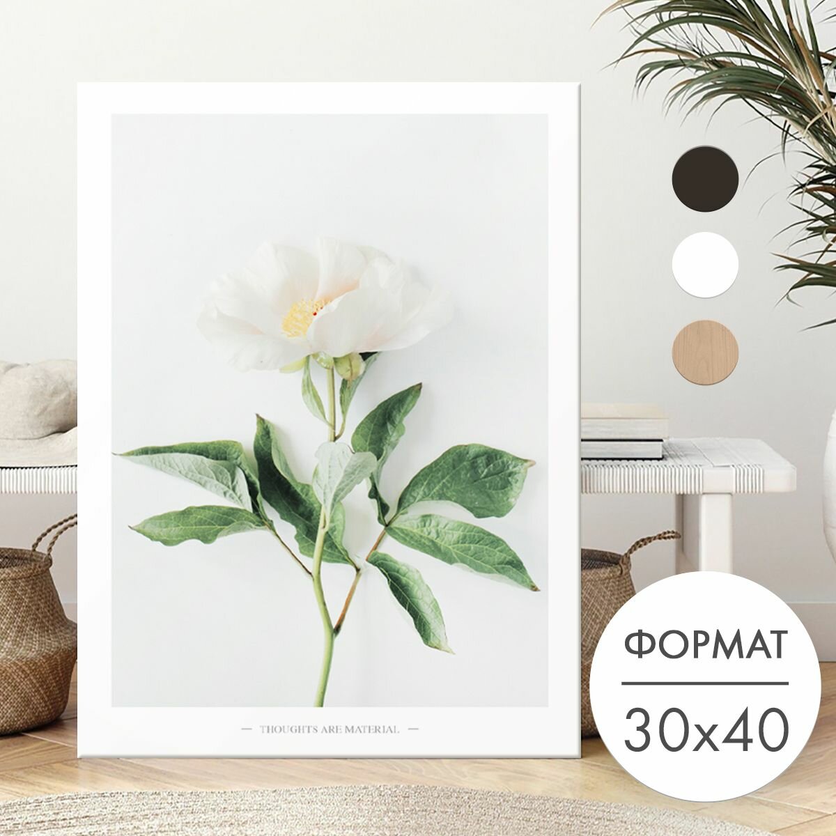 Постер 30х40 без рамки "Белый цветок" для интерьера