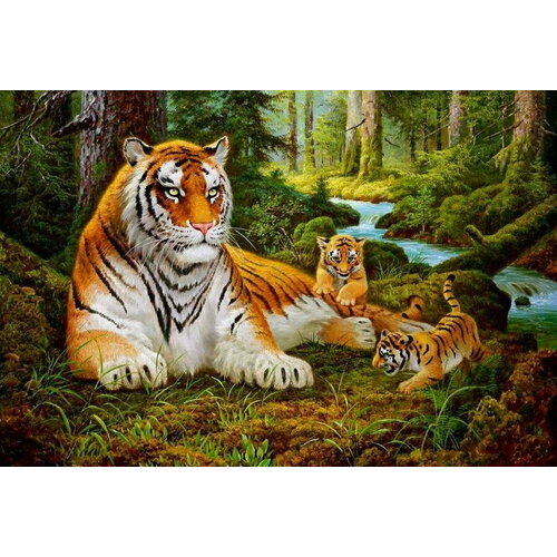 Supertoys Алмазная картина Семья тигров 40х50 см с подрамником YSG1659 с 8 лет