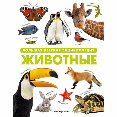 уолтерз м джонсон дж животные большая детская энциклопедия Животные. Большая детская энциклопедия