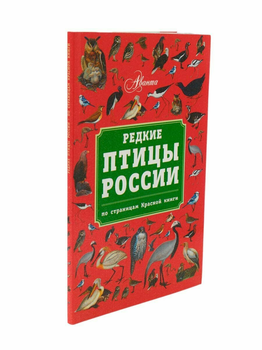 Редкие птицы России. По страницам Красной книги