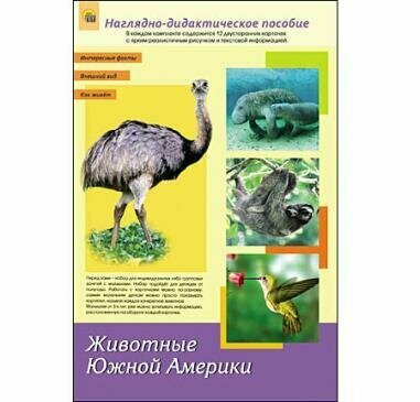 НаглядноДидактическоеПособие Животные Южной Америки (12 двусторонних карточек с картинками и текстом