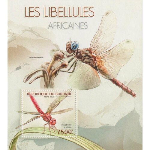 Почтовые марки Бурунди 2012г. Фауна - Стрекозы Африки Насекомые MNH