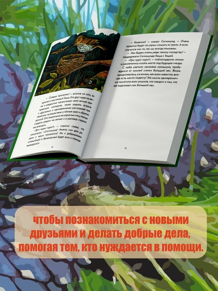 Шишки идут в поход. Сказки большого леса. Книга 2 - фото №9