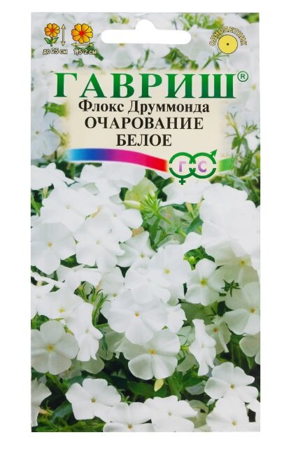 Флокс «Очарование белое Друммонд» 0.05 г