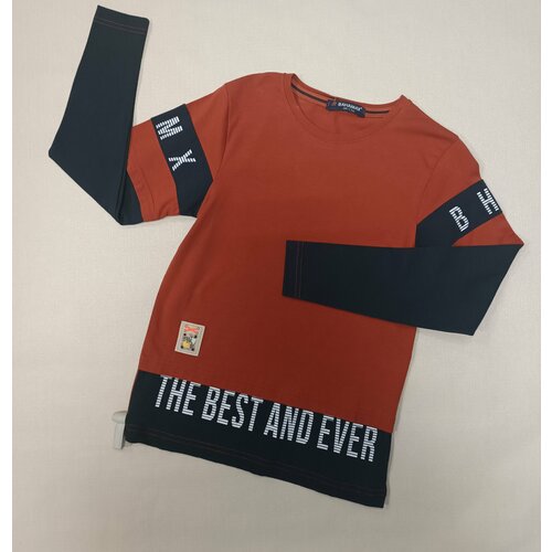 фото Лонгслив bahamax, размер 122, коричневый