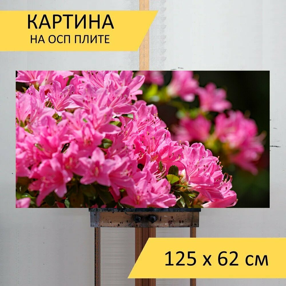 Картина на ОСП 125х62 см. 