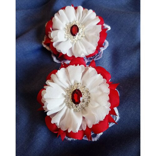 Банты красные. Бантики пышные, для девочек, комплект из 2 штук