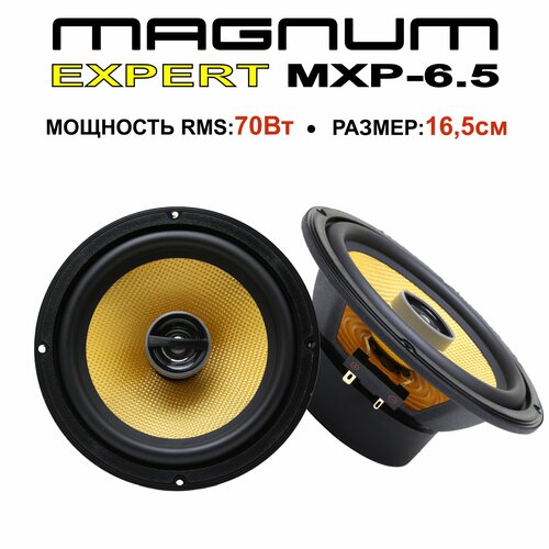 Автомобильная акустика MAGNUM EXPERT MXP-65 5440₽
