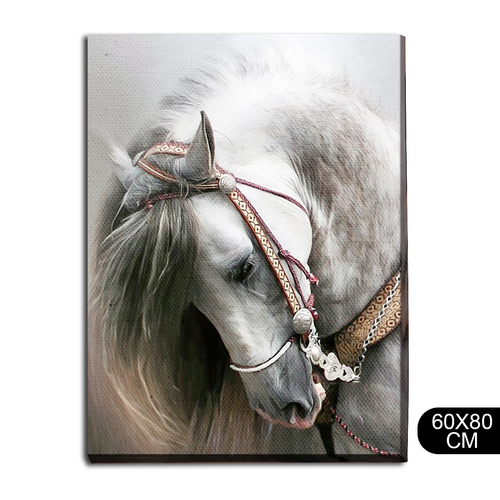 Картина интерьерная на холсте Животные пони белая лошадь - 73 В 80x60 1690₽