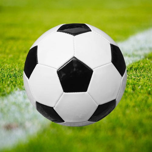 Мяч футбольный черно-белый 1089₽
