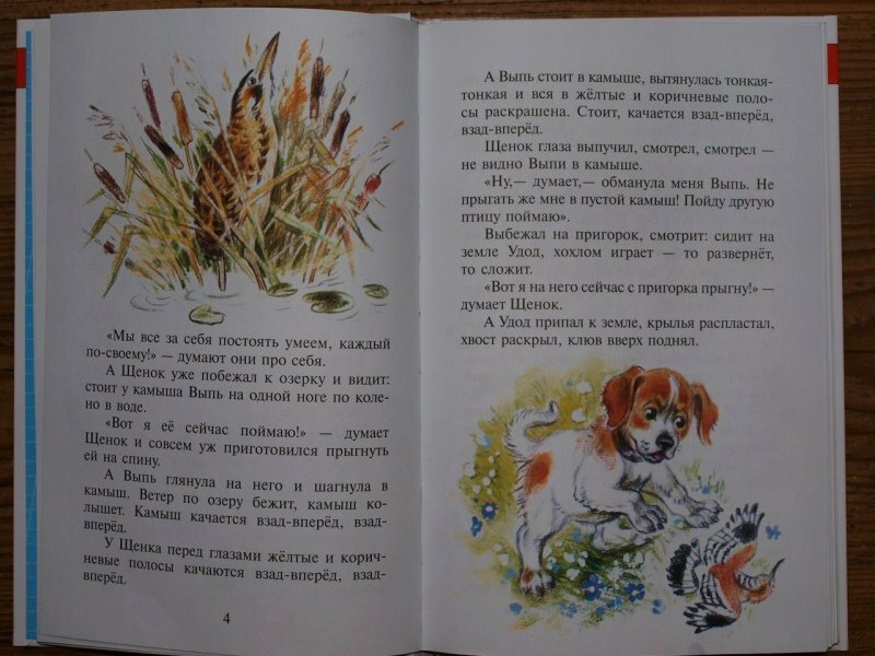 Рассказы о животных (Бианки Виталий Валентинович; Скребицкий Георгий Алексеевич; Пришвин Михаил Михайлович; Сладков Николай Иванович) - фото №14