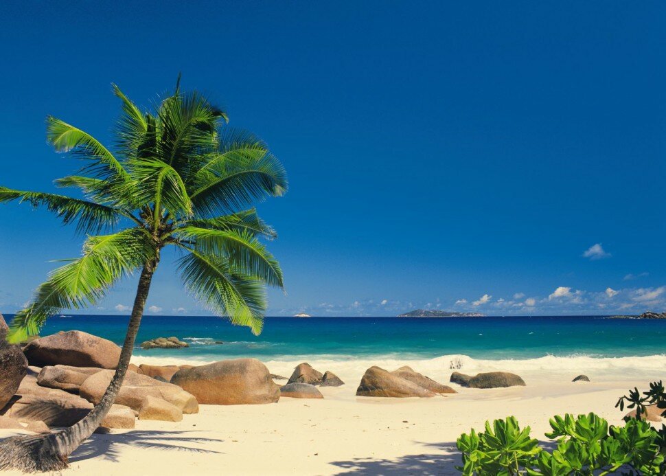 фото Фотообои Komar бумажные 8-006 3,88*2,7 8полотен, клей в комплекте