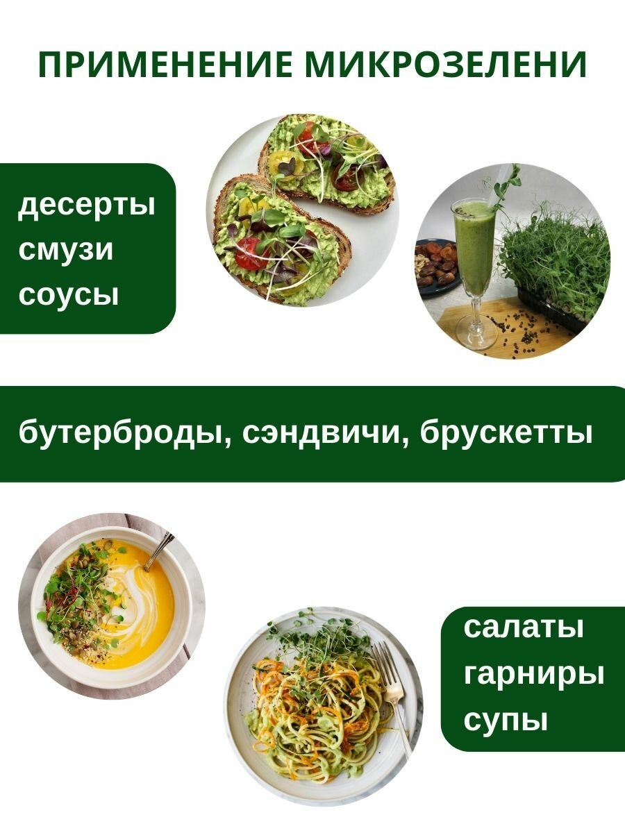 Наборы Для Рассады Набор для выращивания микрозелени 5 урожаев