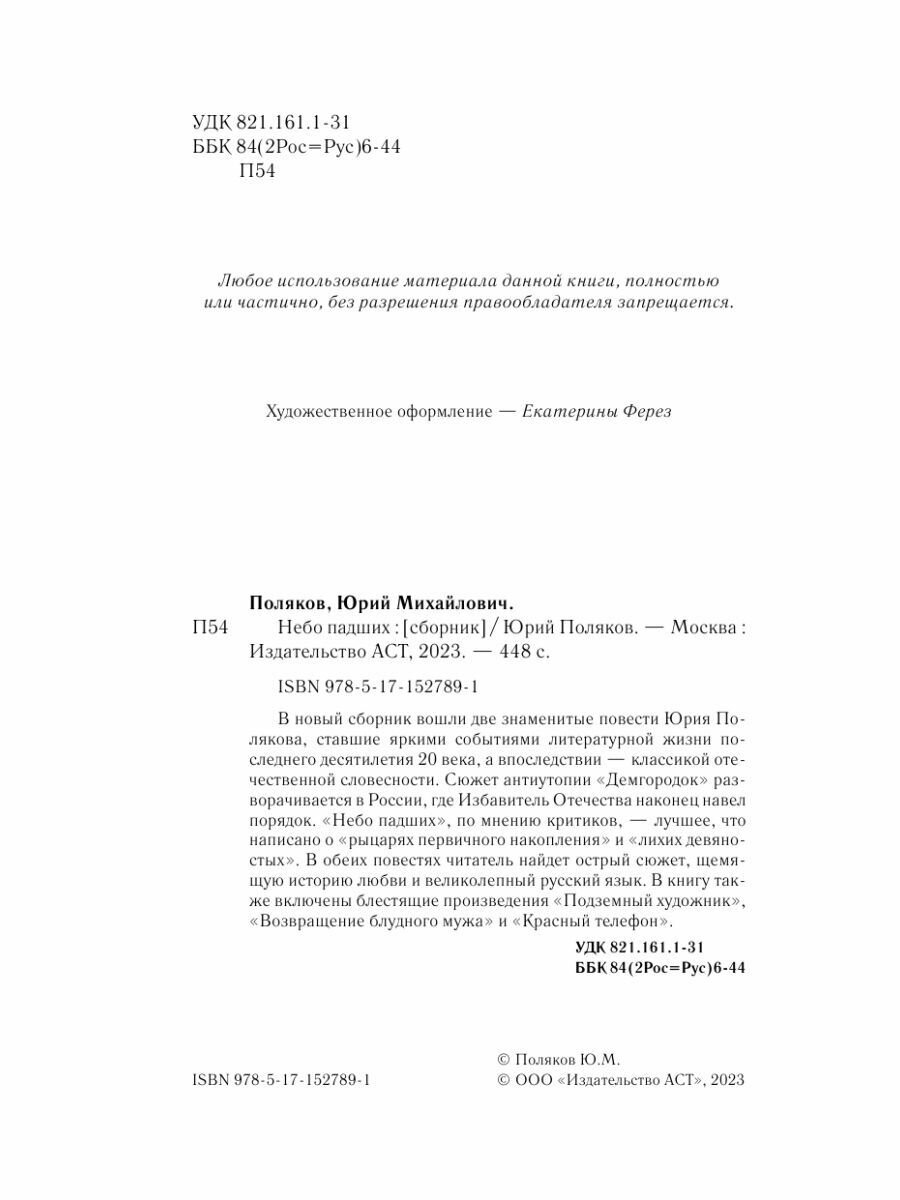 Небо падших (Поляков Юрий Михайлович) - фото №11