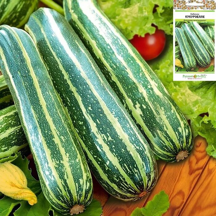 Кабачок цуккини Кукурзелле семена