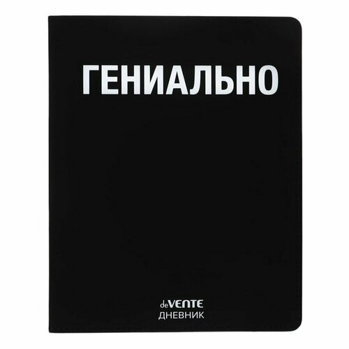 Дневник универсальный для 1-11 класса Гениально интегральная обложка искусственная кожа шелкография ляссе 80 гм2 708₽