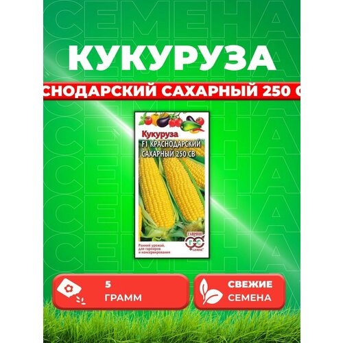 удачные семена кукуруза краснодарский сахарный 250 св f1 5 грамм Кукуруза Краснодарский сахарный 250 СВ F1 5 г