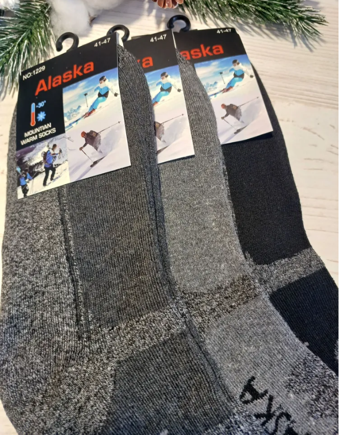 Носки ALASKA, комплект, 6 пар, размер Мужские, разноцветные — фото 1