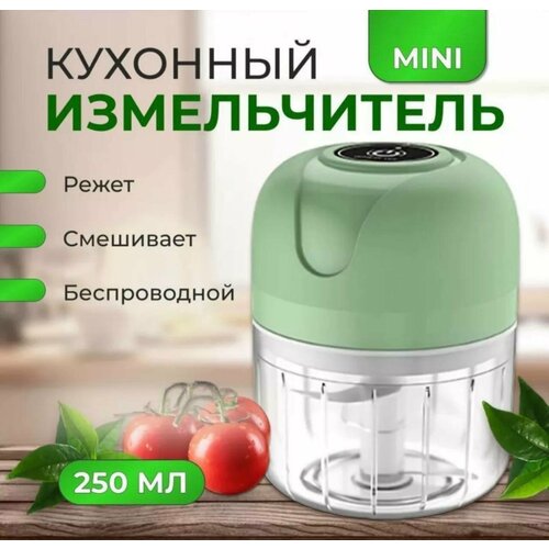 Кухонный мини измельчитель 450₽