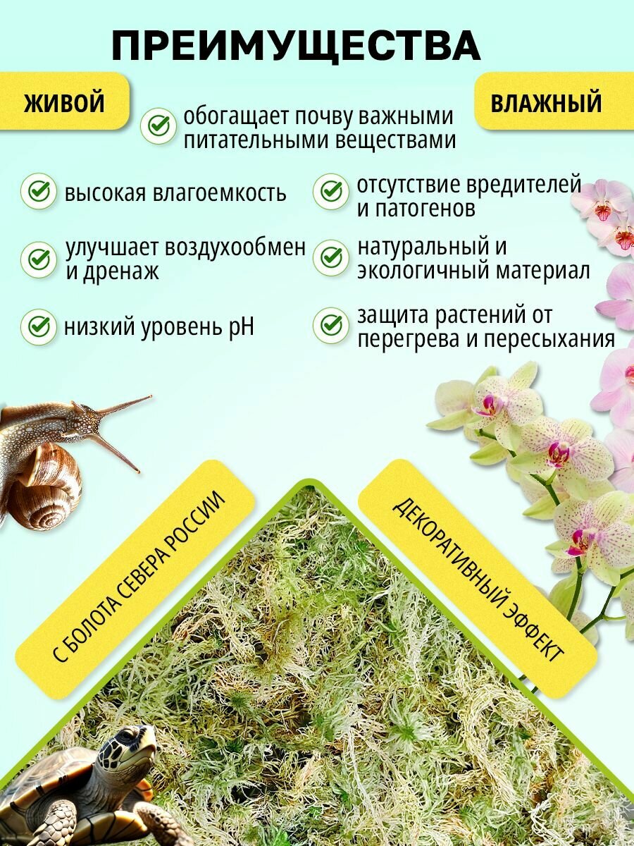 Мох сфагнум для орхидей и террариумов, 2 литра — фото 1