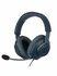 Игровые наушники JBL Quantum 100 Blue (JBLQUANTUM100BLU)