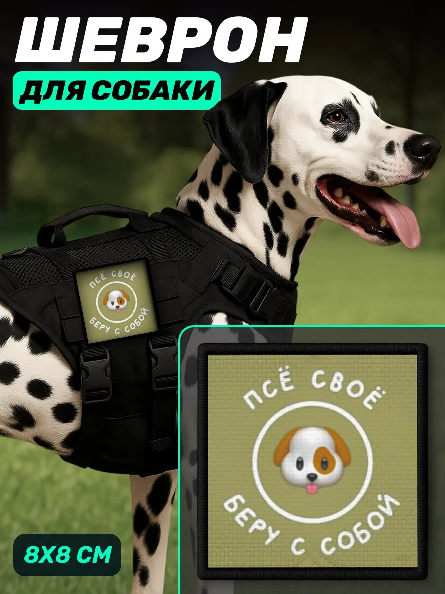 Шеврон на шлейку для собак Псе свое Бегу с собой
