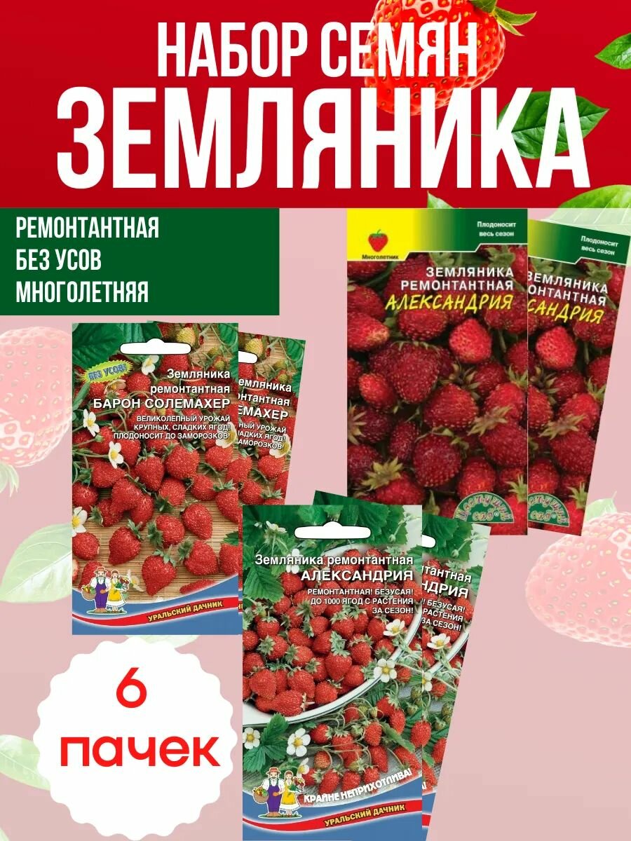 Семена Земляника ремонтантная 6 уп.