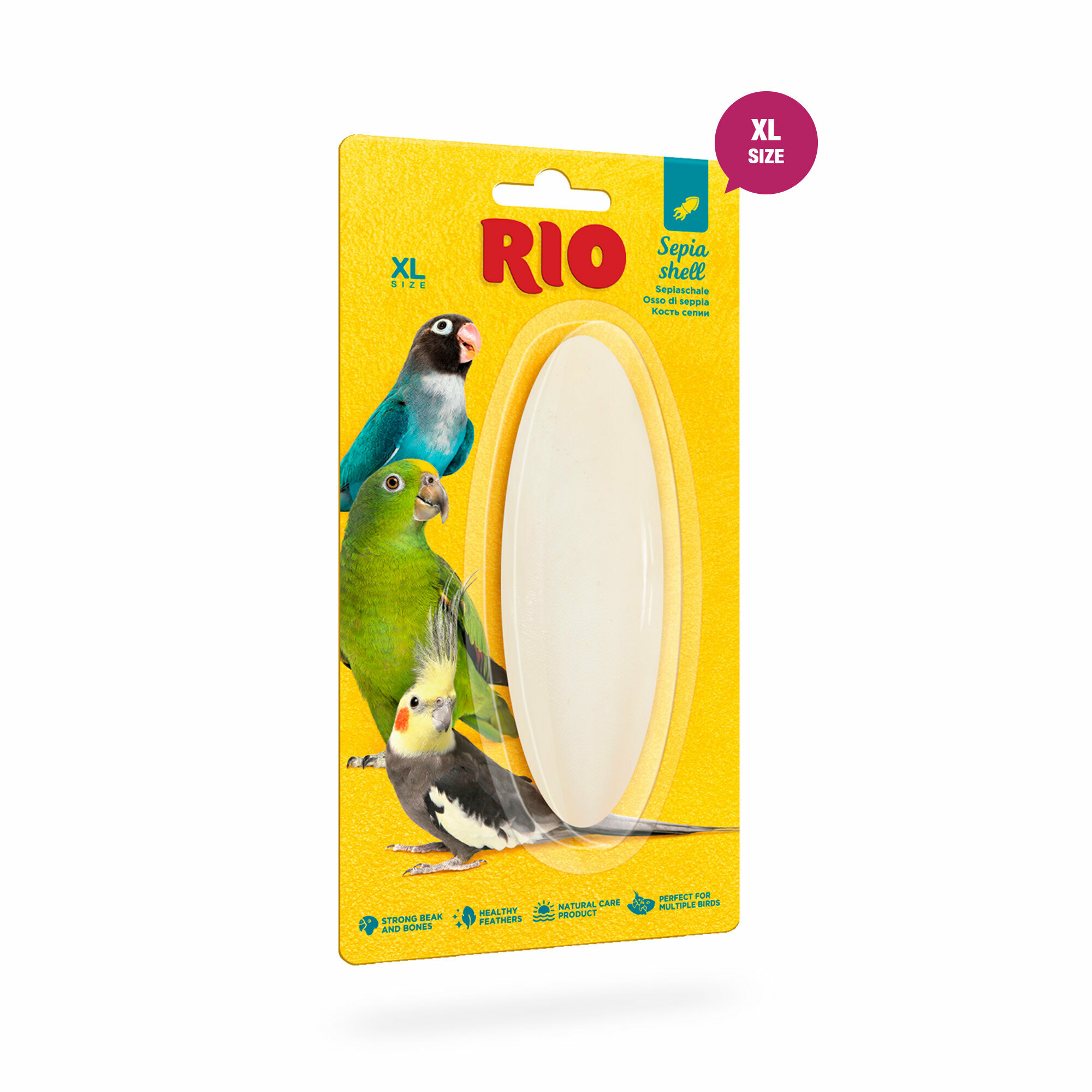 RIO Кость сепии, размер XL, 1 шт.