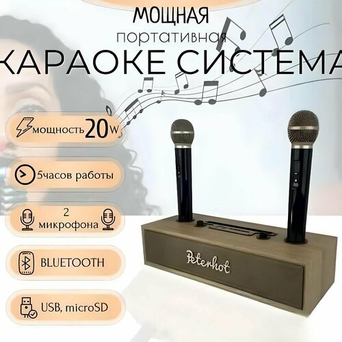 Bluetooth колонка винтажная беспроводная с караоке и двумя беспроводными микрофонами 700000₽