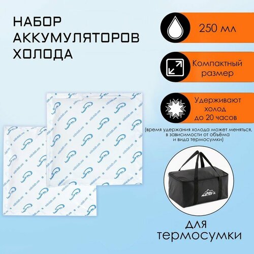 фото Набор аккумуляторов холода, гелевые, 2 шт по 250, 14.5 х 14.5 х 2.5 см mikimarket